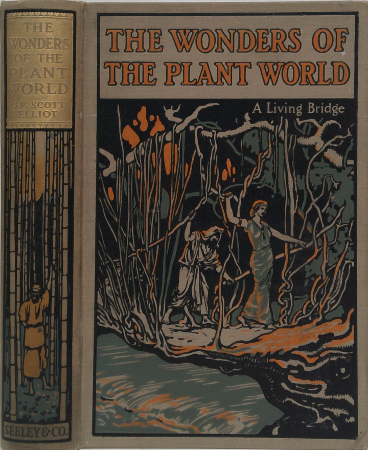 The Wonders Of The Plant World