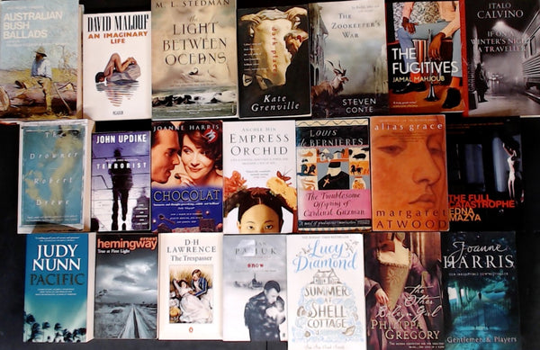 Secondhand Literary Fiction Bargain Book Box DSH1182
