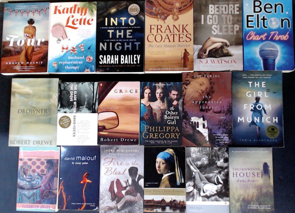 Secondhand Literary Fiction Bargain Book Box DSH1195
