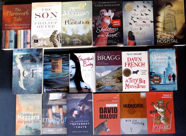 Secondhand Literary Fiction Bargain Book Box DSH1197