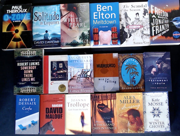 Secondhand Literary Fiction Bargain Book Box DSH1198