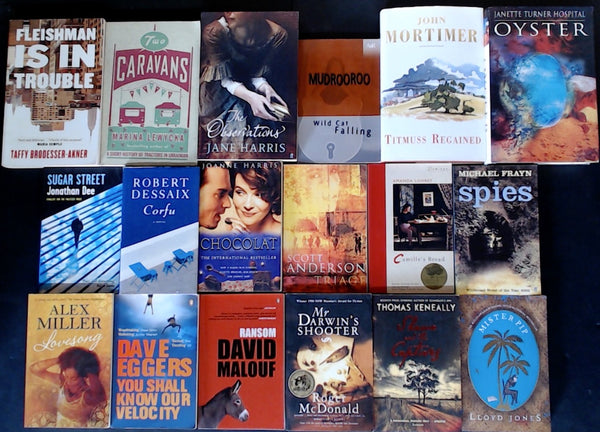Secondhand Literary Fiction Bargain Book Box DSH1208
