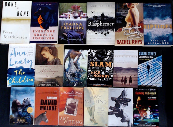 Secondhand Literary Fiction Bargain Book Box DSH1223