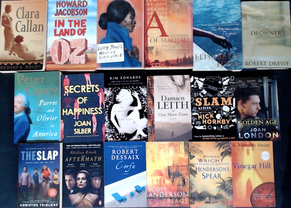 Secondhand Literary Fiction Bargain Book Box DSH1224
