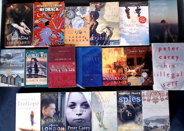 Secondhand Literary Fiction Bargain Book Box DSH1226