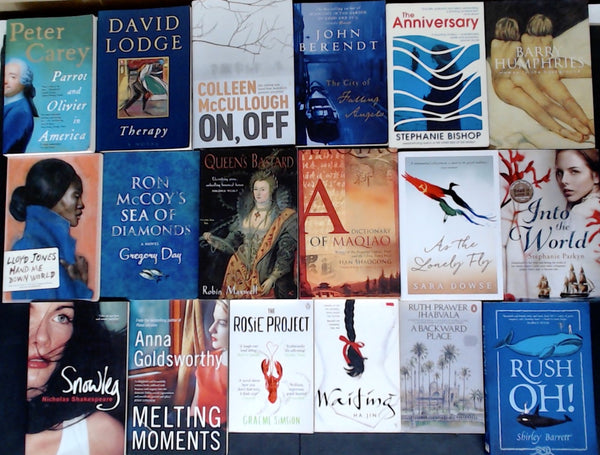 Secondhand Literary Fiction Bargain Book Box DSH1231