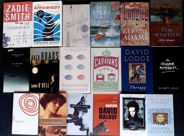 Secondhand Literary Fiction Bargain Book Box DSH1232
