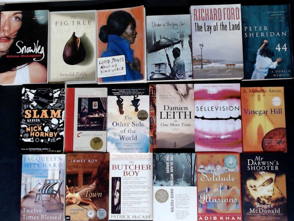 Secondhand Literary Fiction Bargain Book Box DSH1234