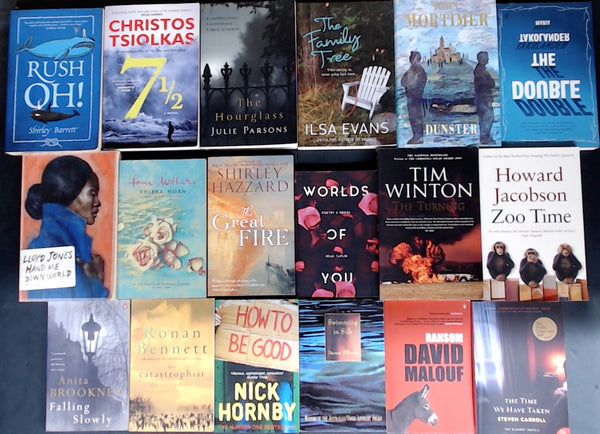 Secondhand Literary Fiction Bargain Book Box DSH1251