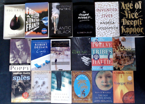 Secondhand Literary Fiction Bargain Book Box DSH1256