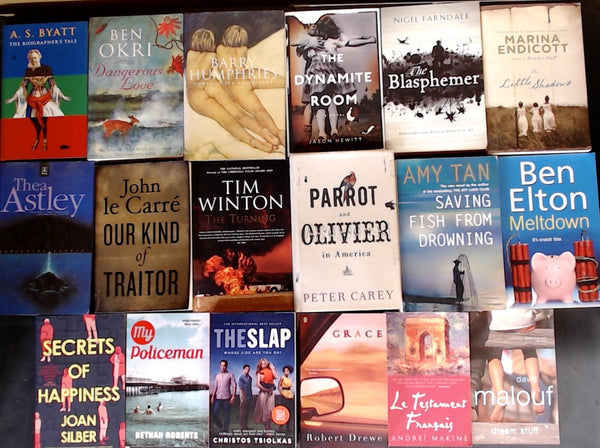 Secondhand Literary Fiction Bargain Book Box DSH1257