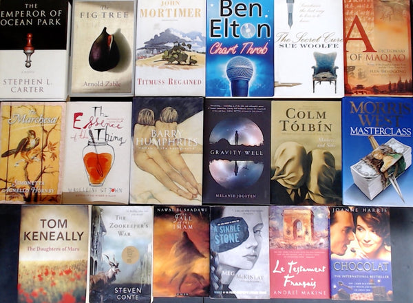 Secondhand Literary Fiction Bargain Book Box DSH1264