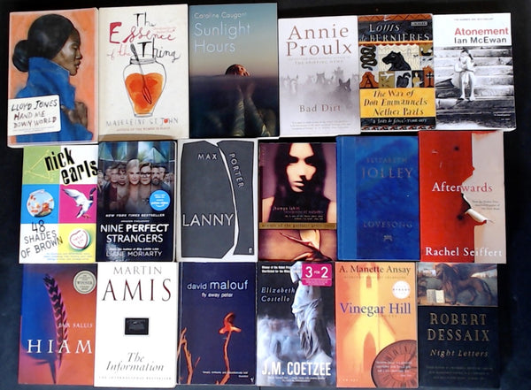 Secondhand Literary Fiction Bargain Book Box DSH1271