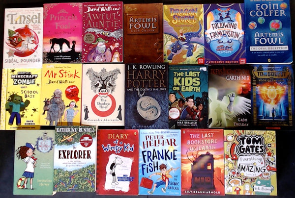 Secondhand Chapter Book (Age 8-12) Bargain Book Box DSH1272