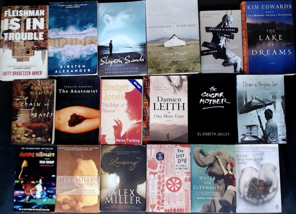 Secondhand Literary Fiction Bargain Book Box DSH1281