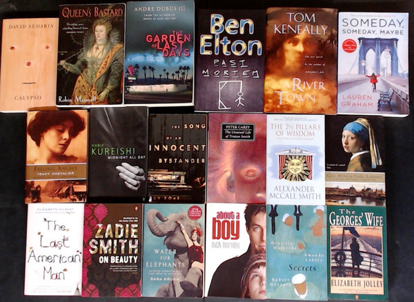 Secondhand Literary Fiction Bargain Book Box DSH1284