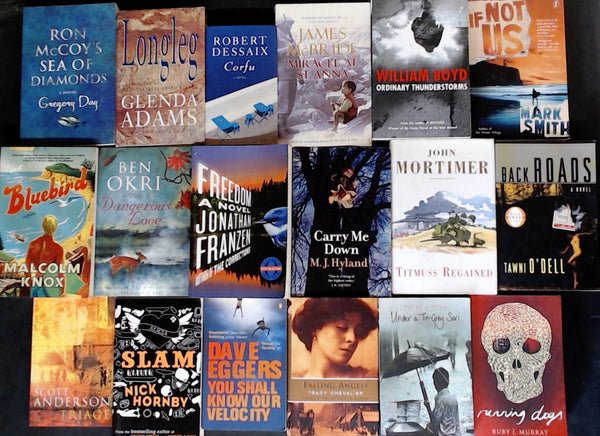 Secondhand Literary Fiction Bargain Book Box DSH1286