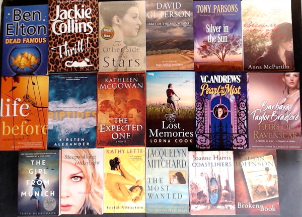 Secondhand Fiction Bargain Book Box DSH1300