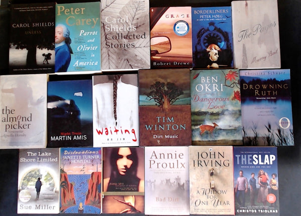 Secondhand Literary Fiction Bargain Book Box DSH1301