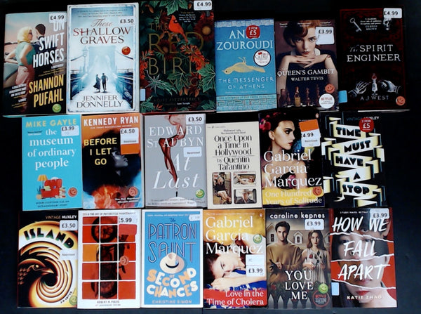 Showroom Sample Fiction Bargain Book Box DSH1317