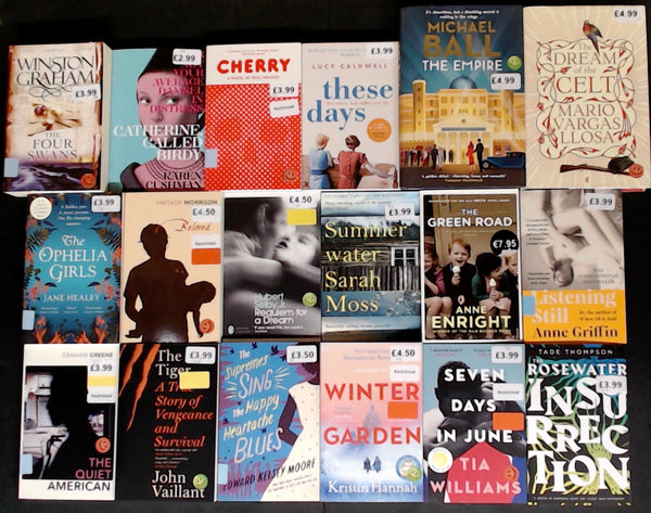 Showroom Sample Fiction Bargain Book Box DSH1322