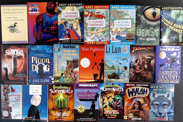 Secondhand Childrens Adventure Bargain Book Box DSH795