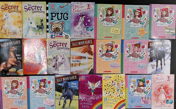 Secondhand Children's Chapter Book Bargain Book Box DSH801