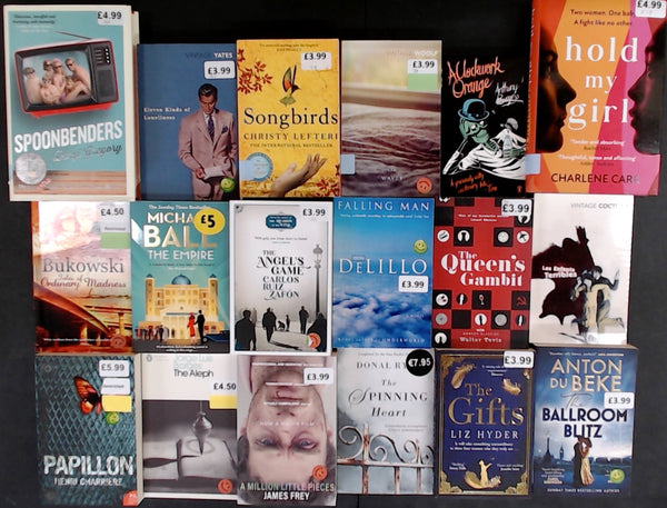 Showroom Sample Fiction Bargain Book Box DSH903