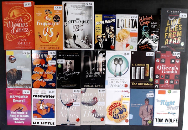 Showroom Sample Fiction Bargain Book Box DSH913