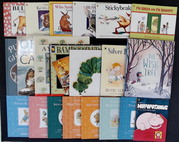 Secondhand Picture Book Bargain Book Box DSH939
