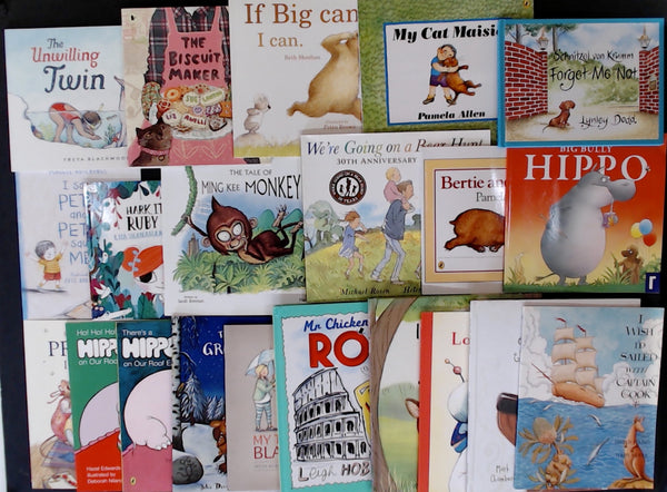 Secondhand Picture Book Bargain Book Box DSH942