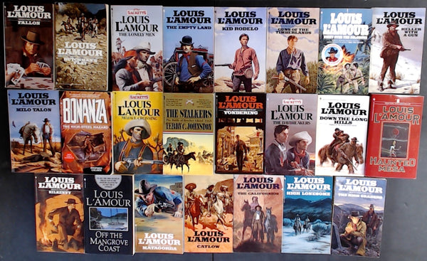 Secondhand Western Bargain Book Box DSH964