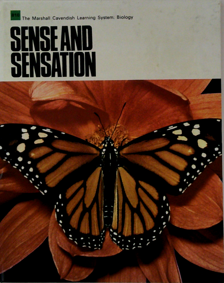 Sense And Sensation