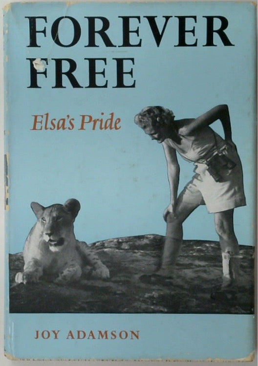 Forever Free - Elsa's Pride