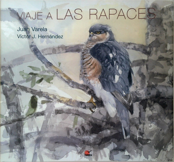 VIAJE A LAS RAPACES