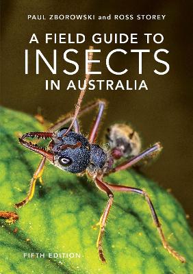 A Field Guide to Insects of Australia: Fifth Edition