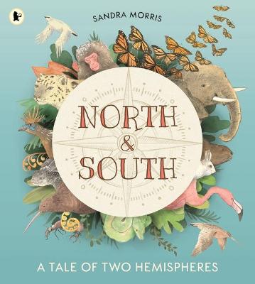 North and South: A Tale of Two Hemispheres