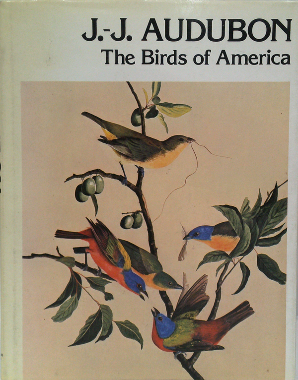 The Birds Of America