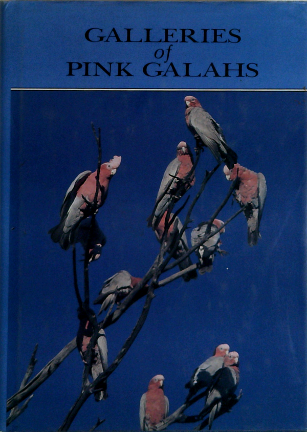Galleries Of Pink Galahs