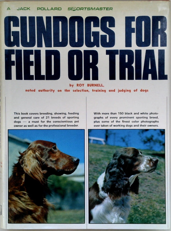 Gundogs For Field or Trial