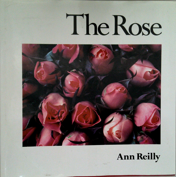 The Rose