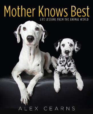 Mother Knows Best: Life lessons from the animal world