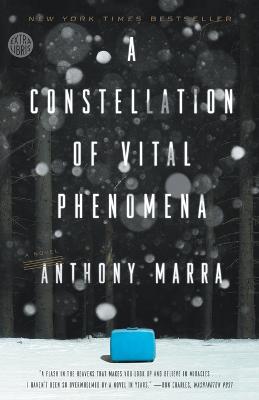 A Constellation of Vital Phenomena: A Novel