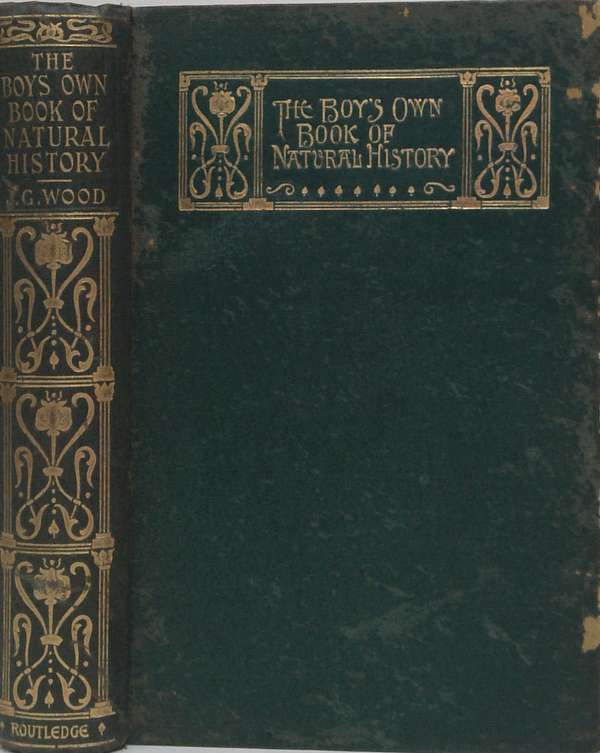 The Boy's Own Book Of Natural History