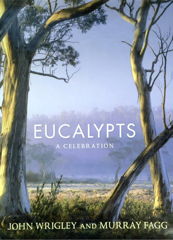 Eucalypts: A Celebration