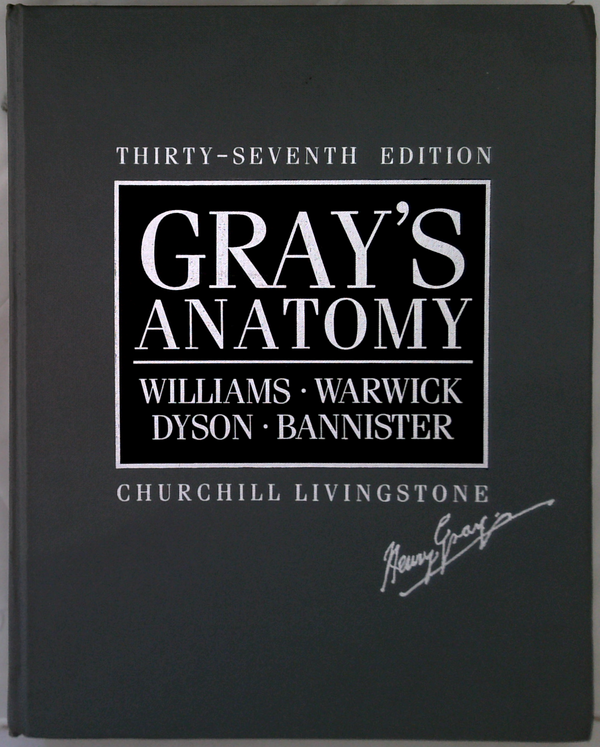 Gray's Anatomy