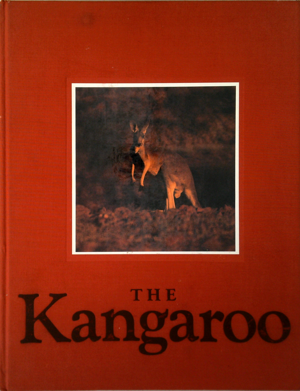 The Kangaroo