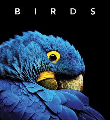 Birds: Deluxe Series