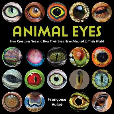 Animal Eyes: How Creatures See and How Their Eyes Have Adapted to