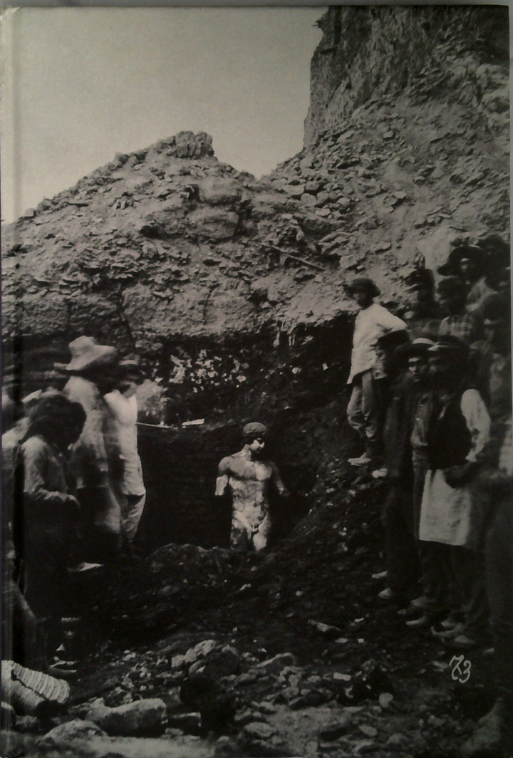 Antinous: The Face Of The Antique